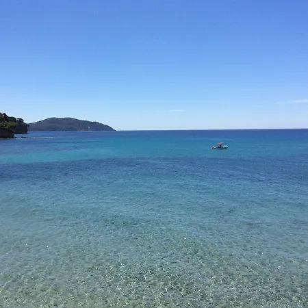 Appart Studio Du Cap - Cosyprovence 아파트